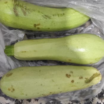 Migros Sanal Market Alışverişinde Bozuk Ürünler Gönderiyor!