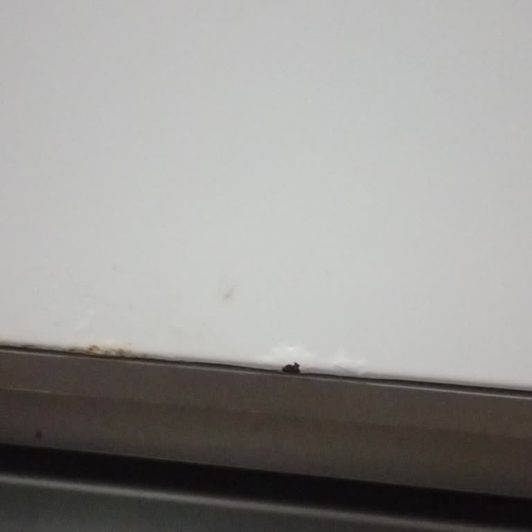 Vestel Buzdolabı Pas Sorunu