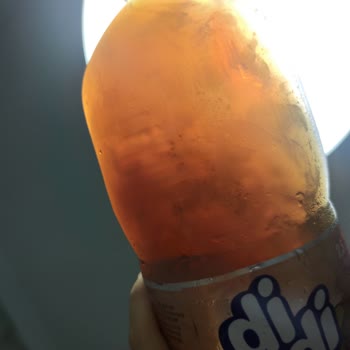 Didi Nın İçinden Çok Kötü Bir Şey Çıktı