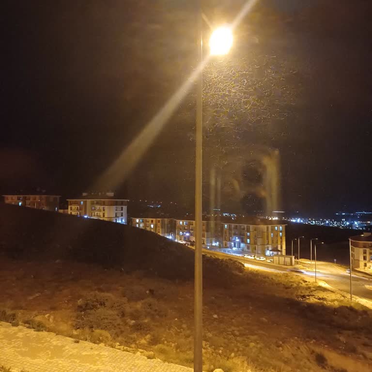 Selçuklu Belediyesi (Konya) Sivrisinek Ve Yakarca Sorunu