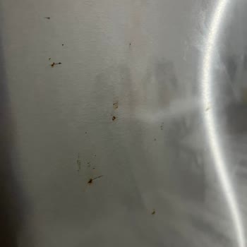 9 Aylık Bosch Buzdolabı Kapağında Paslanmalar
