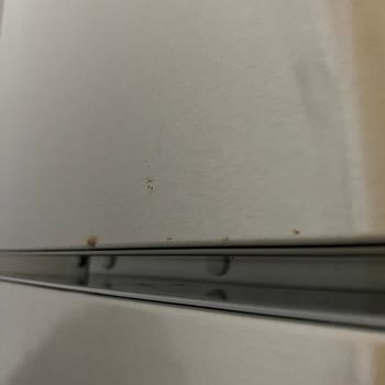 9 Aylık Bosch Buzdolabı Kapağında Paslanmalar