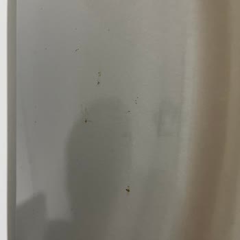 9 Aylık Bosch Buzdolabı Kapağında Paslanmalar