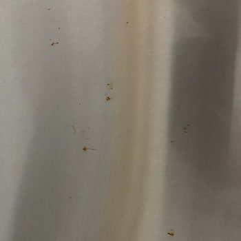 9 Aylık Bosch Buzdolabı Kapağında Paslanmalar