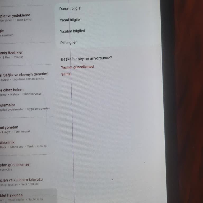 Samsung Telefon Güncelleme Sonrası Pembe Cizgi