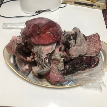 1 Günlük Beko Marka Derin Dondurucum 35 Kg Kurban Etimi Nasıl Bozdu...