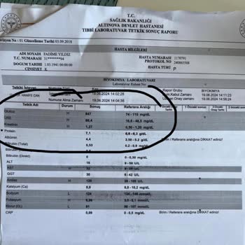 Ajet Havayolu Şirketinin İlgisizliği