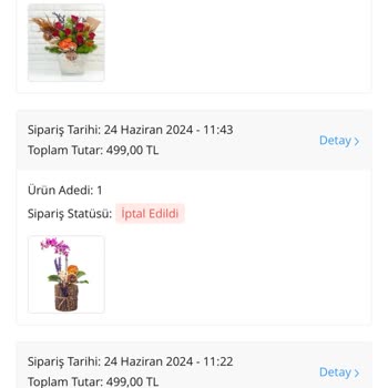 Çiçek Sepeti Beni Çok Fazla Mağdur Etti!
