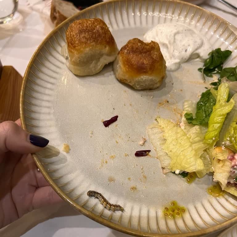 Ferida Restaurant Fişekhane Salatadan Çıkan Kurt