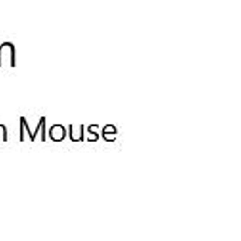 HP 240 Mouse Pil Problemi