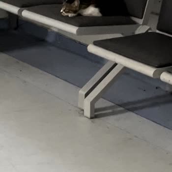 İzmir Ege Üniversitesi Hastanesi Hijyen Eksikliği