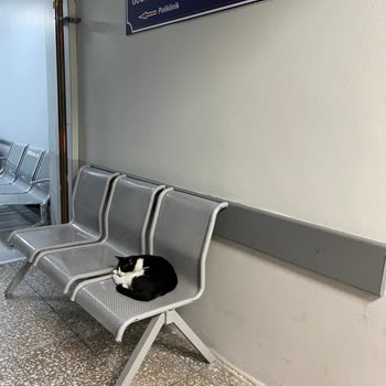 İzmir Ege Üniversitesi Hastanesi Hijyen Eksikliği