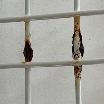 Arçelik Paslanan Bulaşık Makinesi Sepetleri