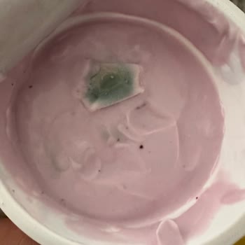 Sek Meyveli Yoğurt Küflü Ürün