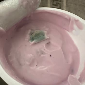 Sek Meyveli Yoğurt Küflü Ürün