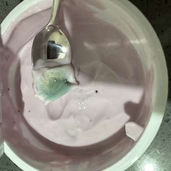 Sek Meyveli Yoğurt Küflü Ürün