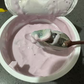 Sek Meyveli Yoğurt Küflü Ürün