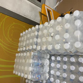Saka Suyun Kolisindeki Kuş Pislikleri