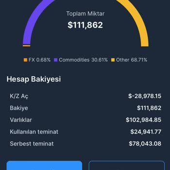 Amerexpro Yurt Dışı Piyasalarda Yazılım İle Sahte İşlemler