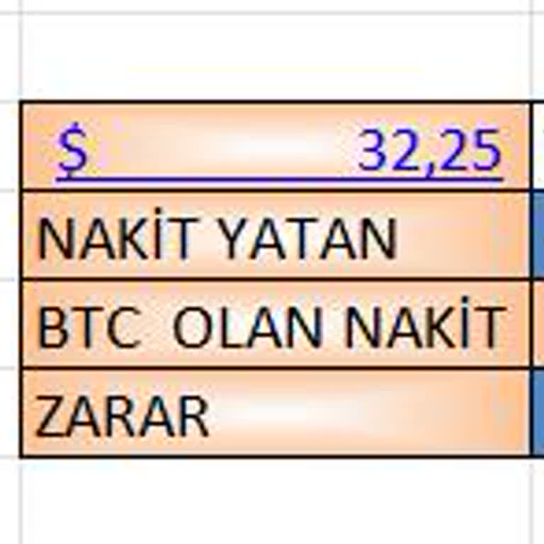 BTCTURK Kripto Borsası Değildir.