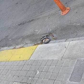Beylikdüzü Belediyesi Temizlik Hizmetleri İlgilenilmiyor