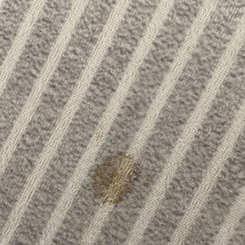 Trendyol West Home Halı