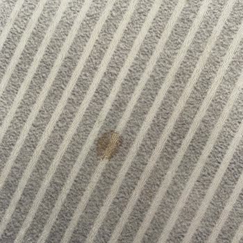 Trendyol West Home Halı