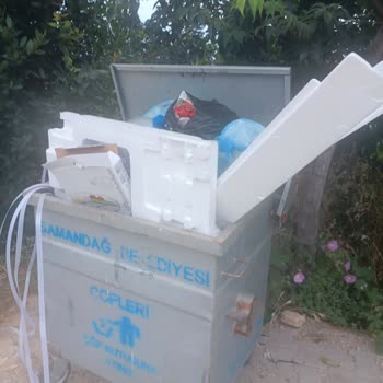 Samandağ Belediyesi Çöpler Alınmıyor Sinek Dolu İlaçlama