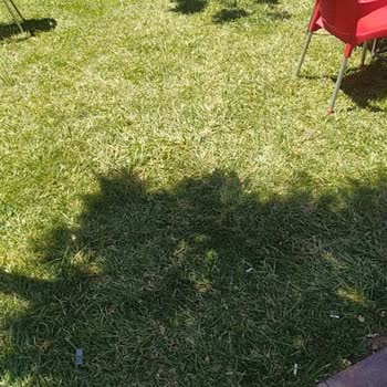 Selçuklu Belediyesi (Konya) Kamuya Ait Yerlerin Esnaflar Tarafından İşgal Edilmesi