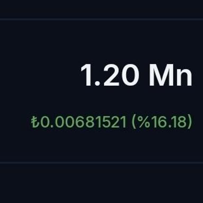 BTCTURK Lunc Coinlerimi İşgüzarca Delist Ederek Beni Zarara Uğrattı