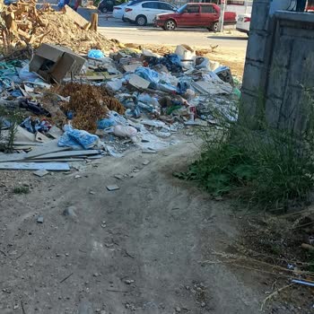 Çevre Temizlik Başkanlığı Şikayetçiyim