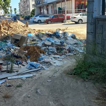 Çevre Temizlik Başkanlığı Şikayetçiyim