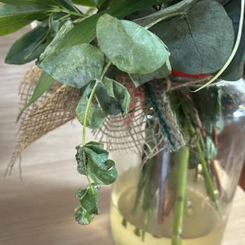 Taze Çiçek (tazecicek.com) Kötü Çiçeklerle Hazırlanmış Ve Çok Geç Teslim Edilmiş Siparişim.