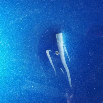 Koru Sigortada Kaskonuzla Homer Serviste Mini Onarım Rezil Ediyor