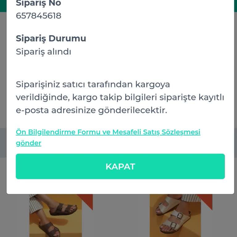 Shopier Elite Shop Turkey Siparişi İşleme Almıyor