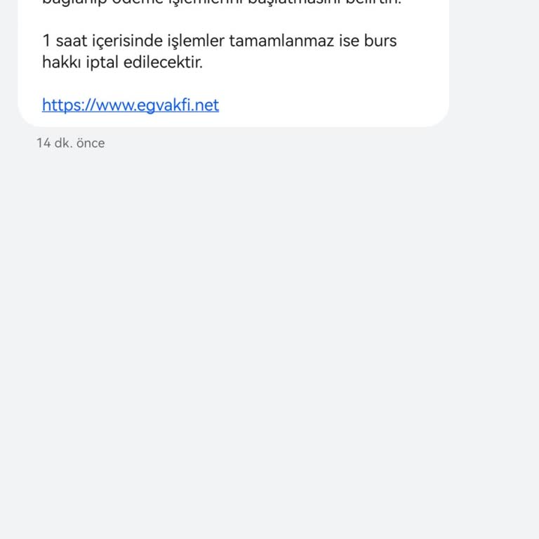 Eğitim Gönüllüleri Vakfı (Burs Başvuru) Tegv Adını Kullanan Sahte Burs Sitesi Hakkında Mağduriyet Uyarısı
