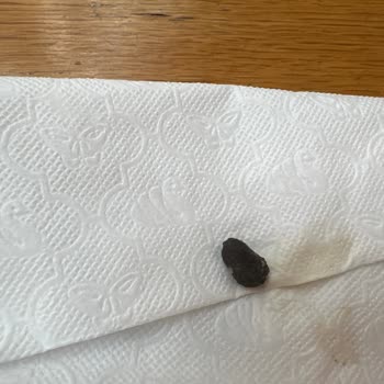 Simit Sarayı Poğaçadan Zeytin Çekirdeği Çıktı!