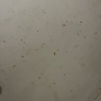 Gran Via Hotels Jakuzili Oda Mağduriyeti