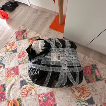 Yurtiçi Kargo Ordu Şubesinin İnatlaşması