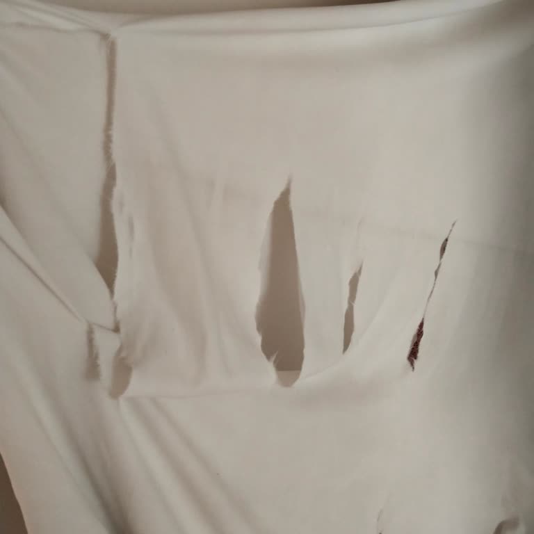 Bosch Çamaşır Makinesi Çamaşırları Yırtıyor