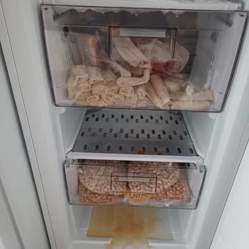 Arçelik Derin Dondurucu Karlanma Sorunu Ve Mağduriyet