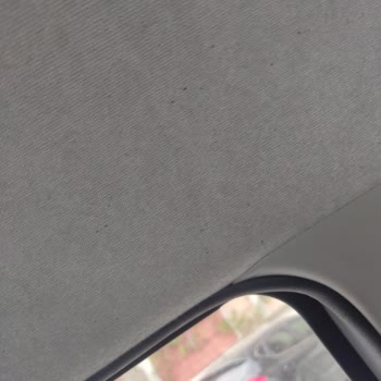 Peugeot 301 Marka Aracımda Boya Soyulması Problemi