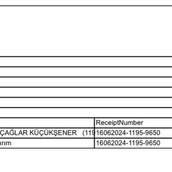 Trendyol Ne Yapmaya Çalışıyor