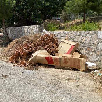 Datça Belediyesi Çöp Sorununun Giderilmesi