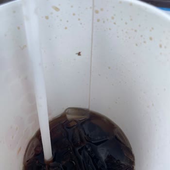 Burger King İçinden Sinek Çıktı