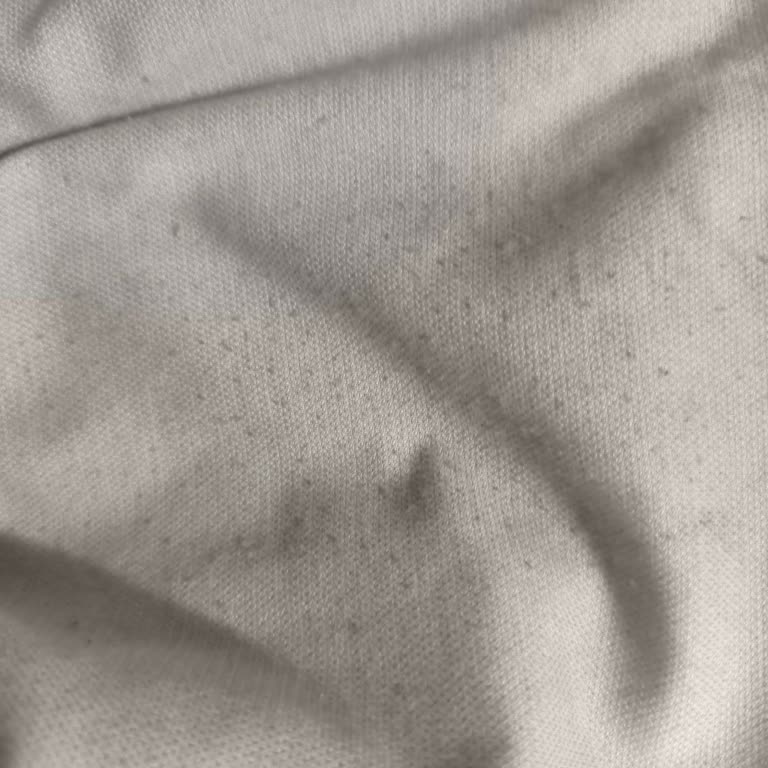 DeFacto Брюки Быстро Обтрепались