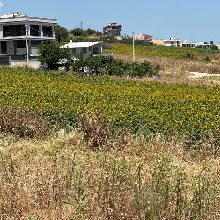 TREDAŞ Konut Elektrik Bağlantısı