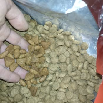 Mamaplus Müşteri İlgisizliği