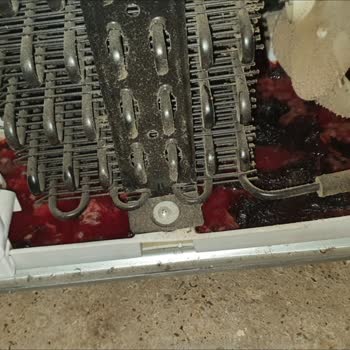 Altus Servisinin İhaleyi Tamamen Bize Bırakma Gayreti