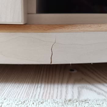 Çilek Mobilya Paranla Rezil Olmak